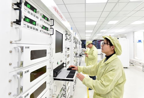 扬州新质生产力之花 信息电子技术服务的绚丽绽放
